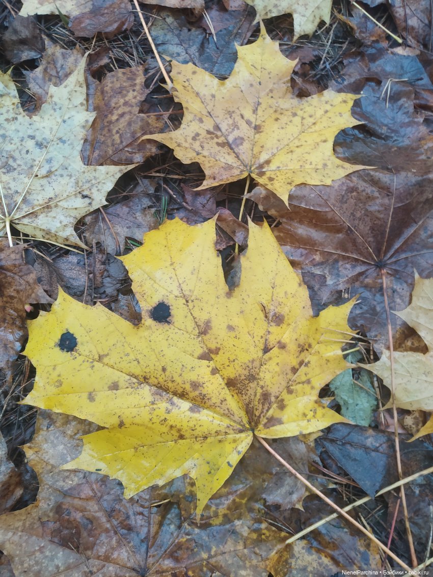 Живущая у озера — Домашние фото авторских кукол: личные коллекции