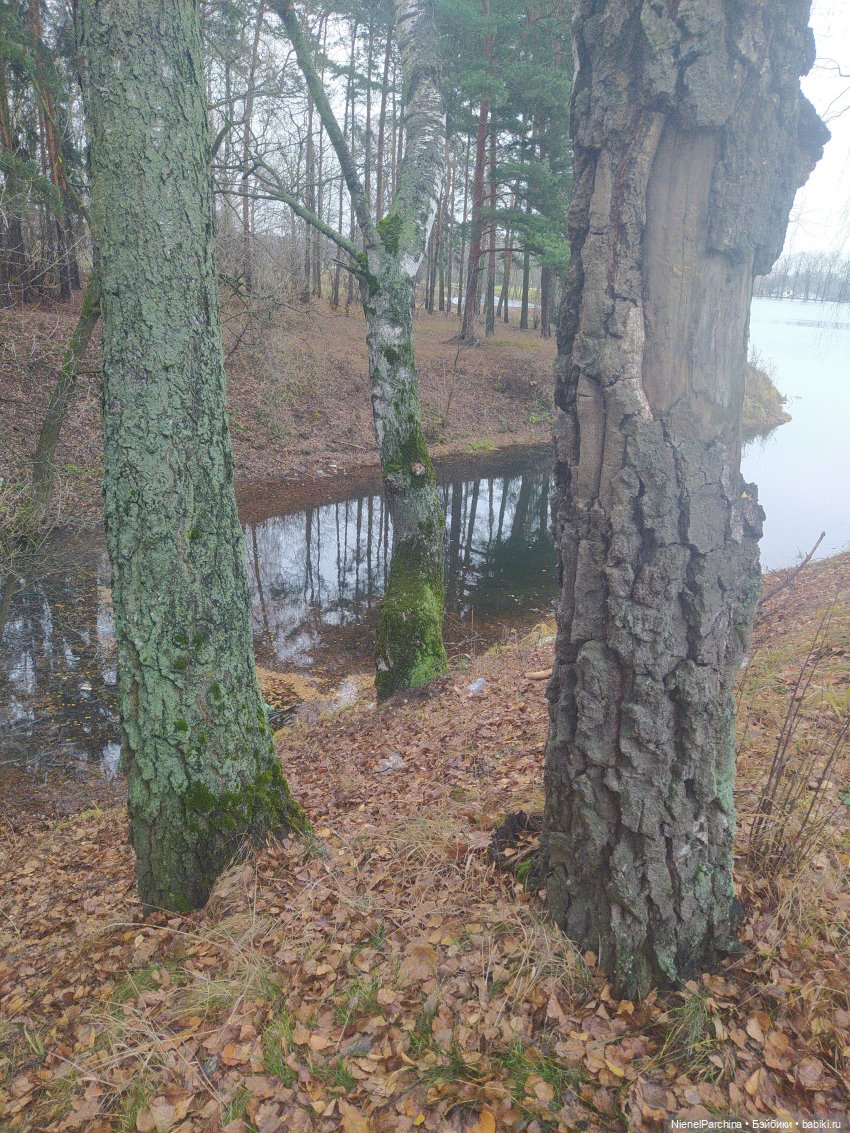 Живущая у озера — Домашние фото авторских кукол: личные коллекции