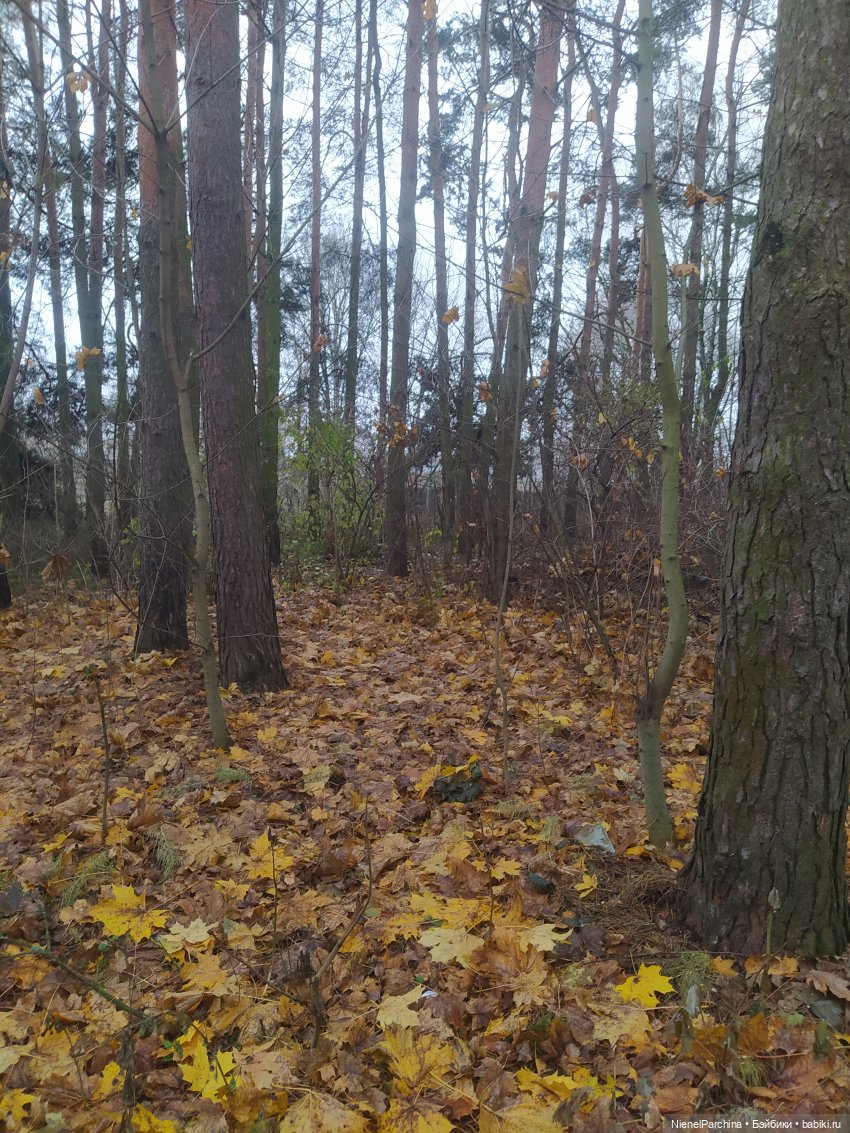 Живущая у озера — Домашние фото авторских кукол: личные коллекции