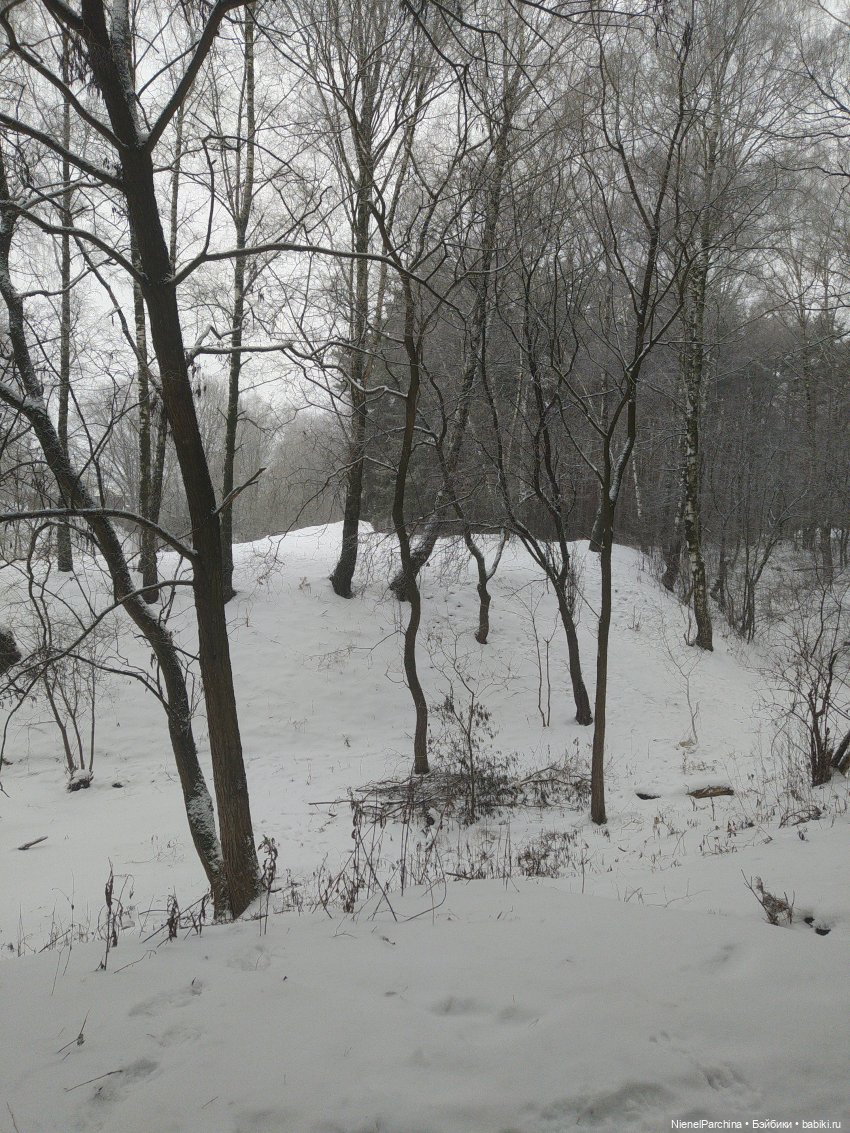 Шуга (Сюга) мой новый кукложитель