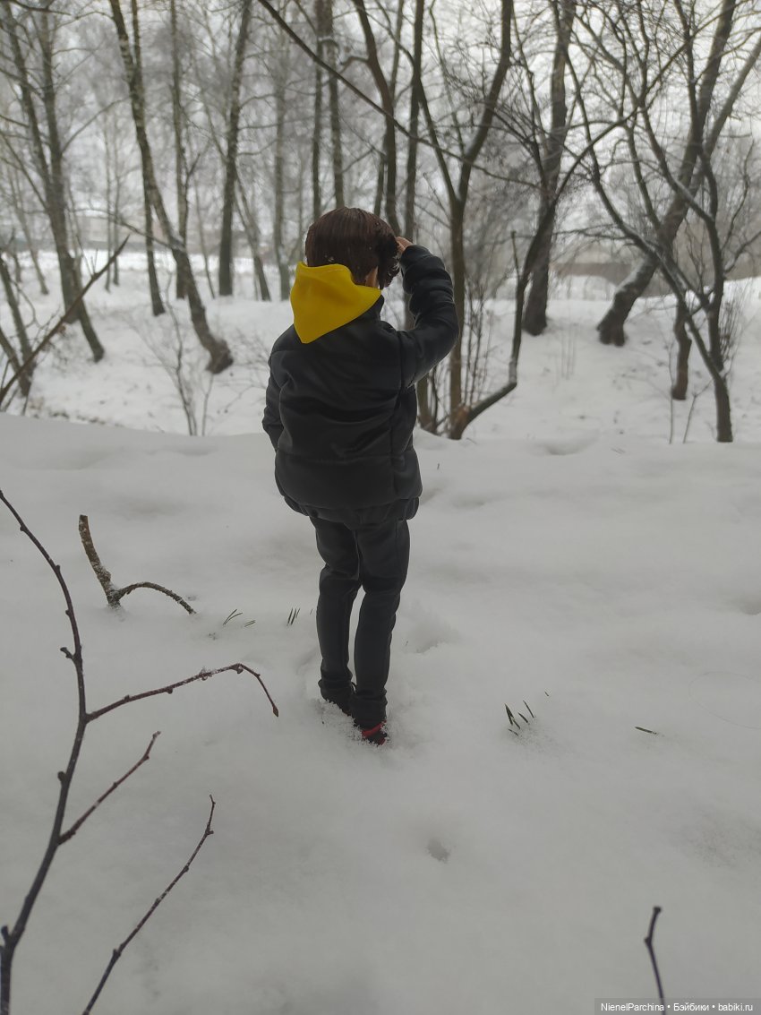 Шуга (Сюга) мой новый кукложитель