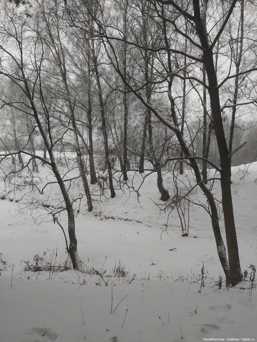 Шуга (Сюга) мой новый кукложитель