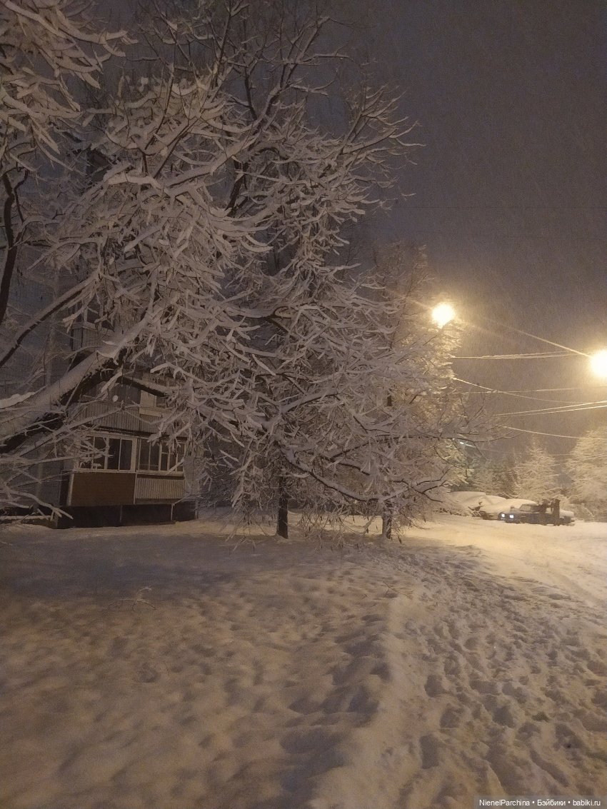 Что опять? Просто прогулялась с плюшками.2