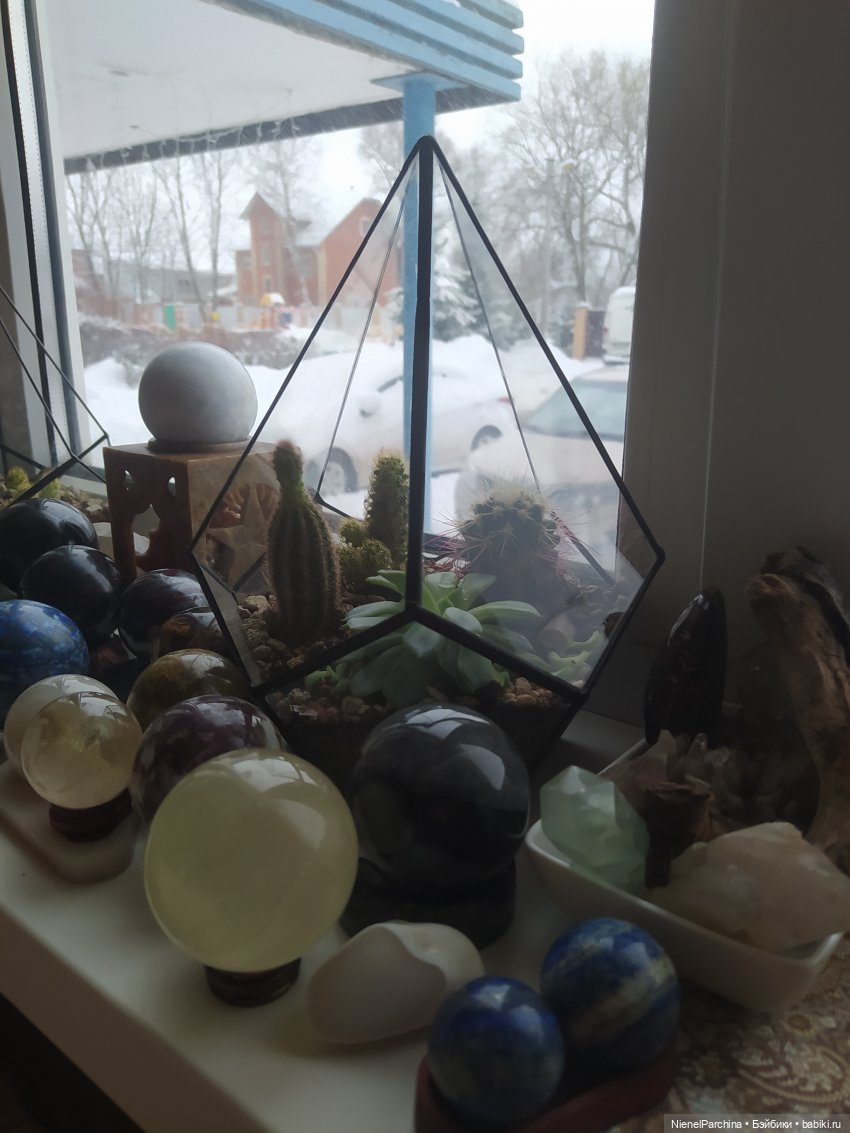 Лис Закери, последний топик в этом году