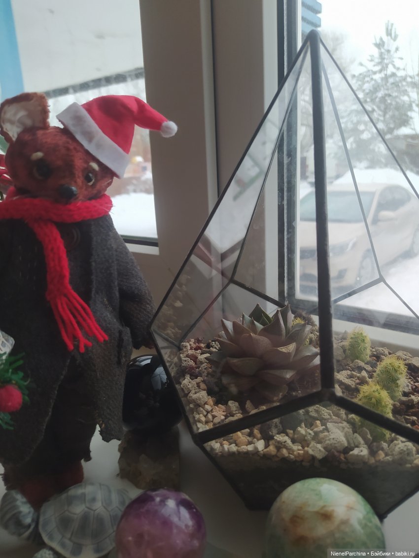 Лис Закери, последний топик в этом году