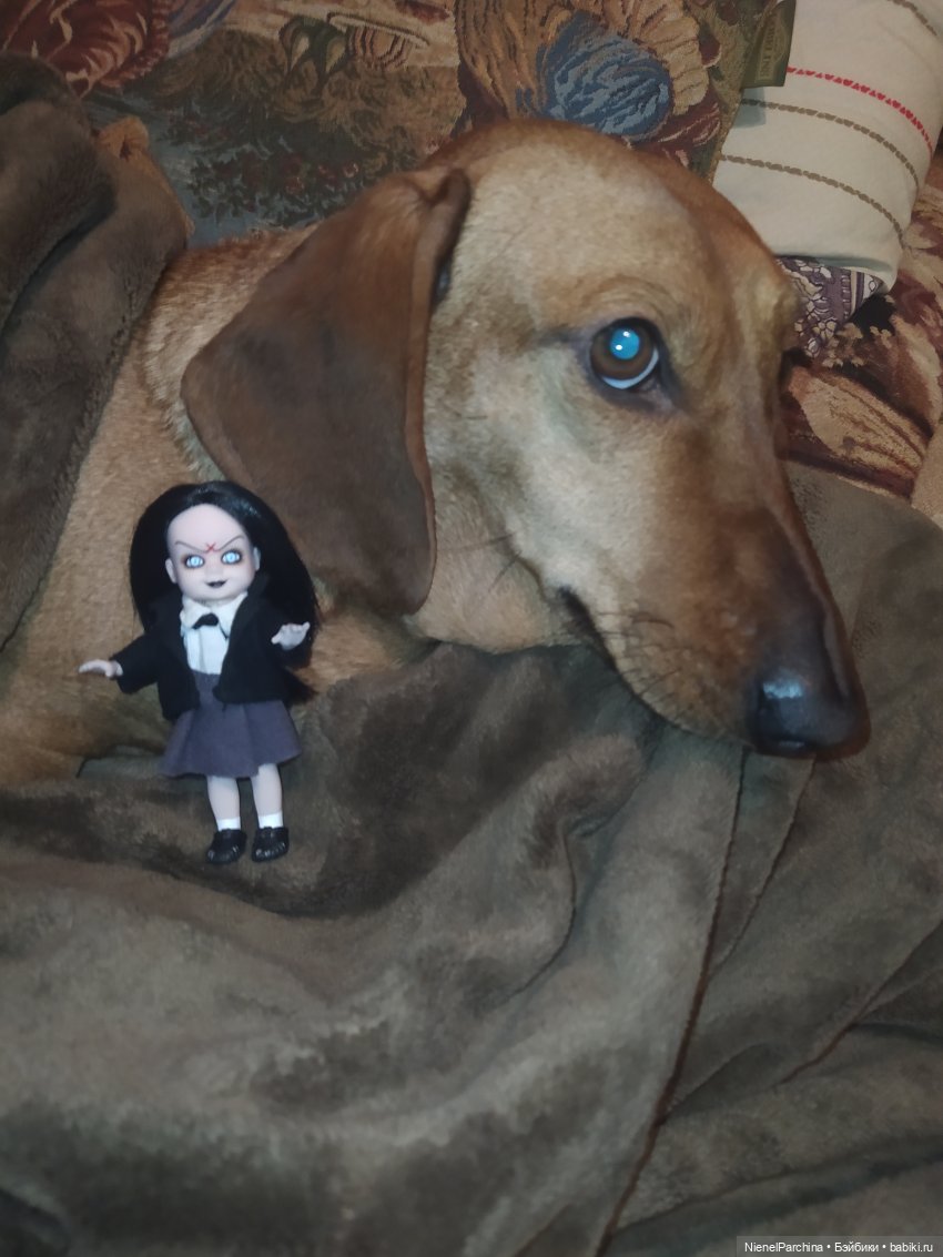 Маленькая мечта, Сэди | Бэйбики Маленькая мечта, Сэди — Коллекционные куклы разных авторов (Разное): редкие бренды