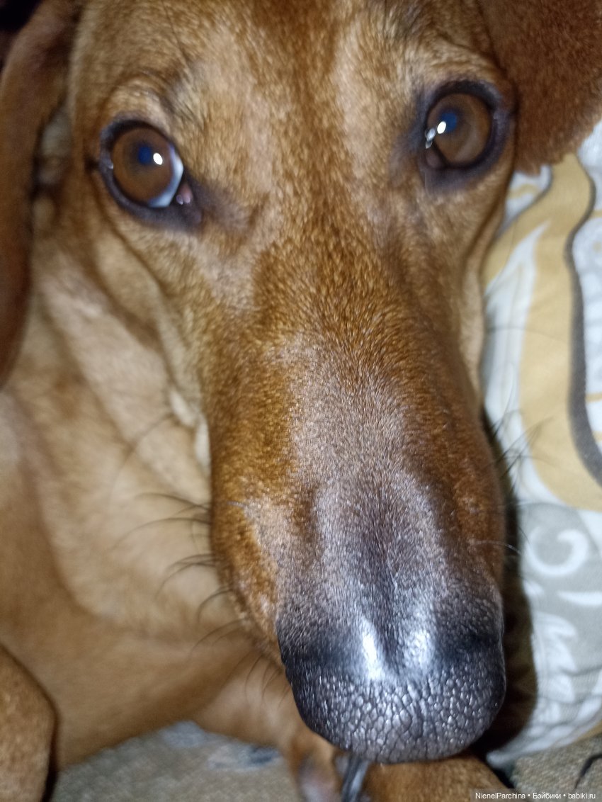 Как Йорген играл с луной — Домашние фото авторских игрушек: Тедди