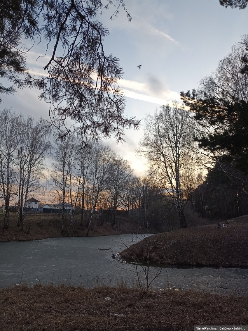 Как Йорген играл с луной — Домашние фото авторских игрушек: Тедди