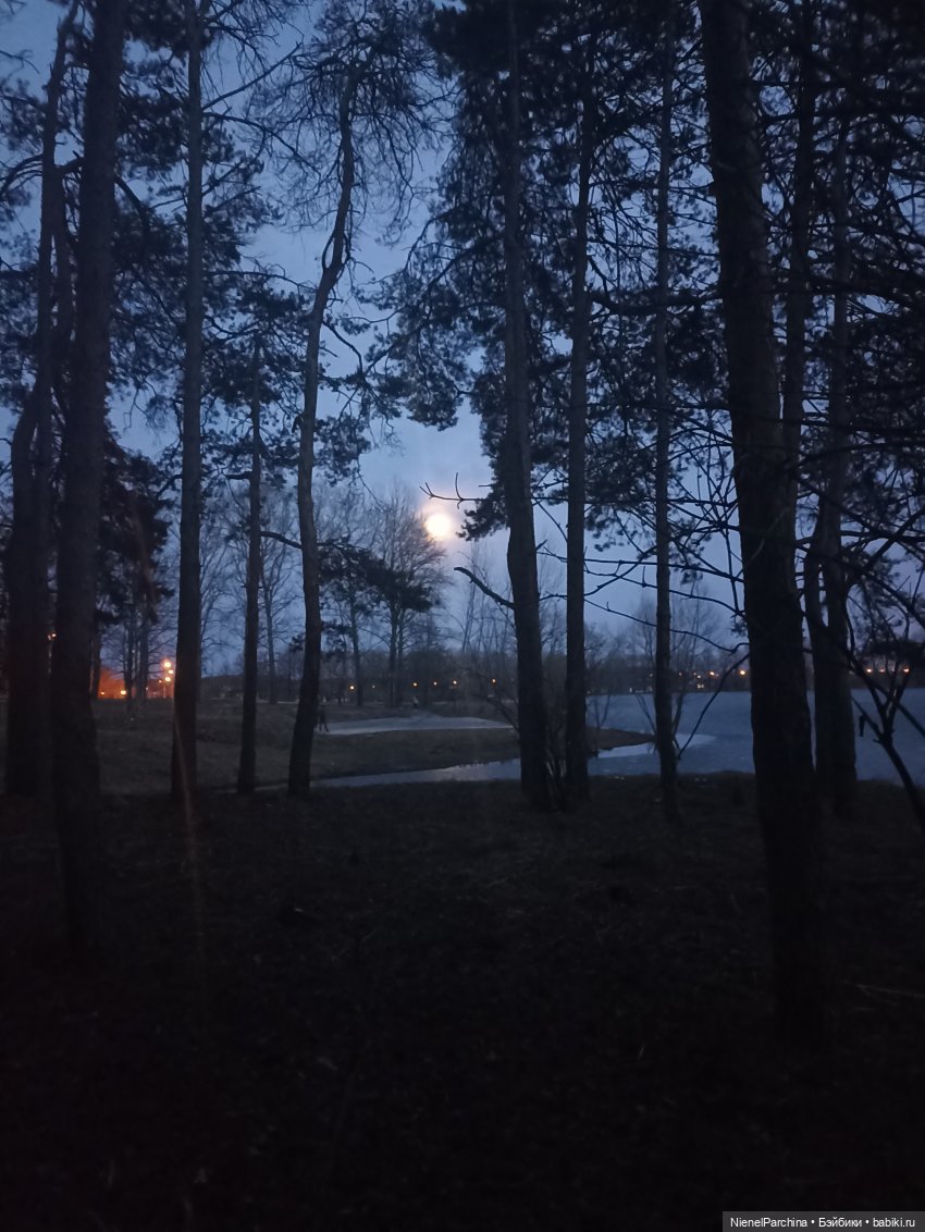 Как Йорген играл с луной — Домашние фото авторских игрушек: Тедди