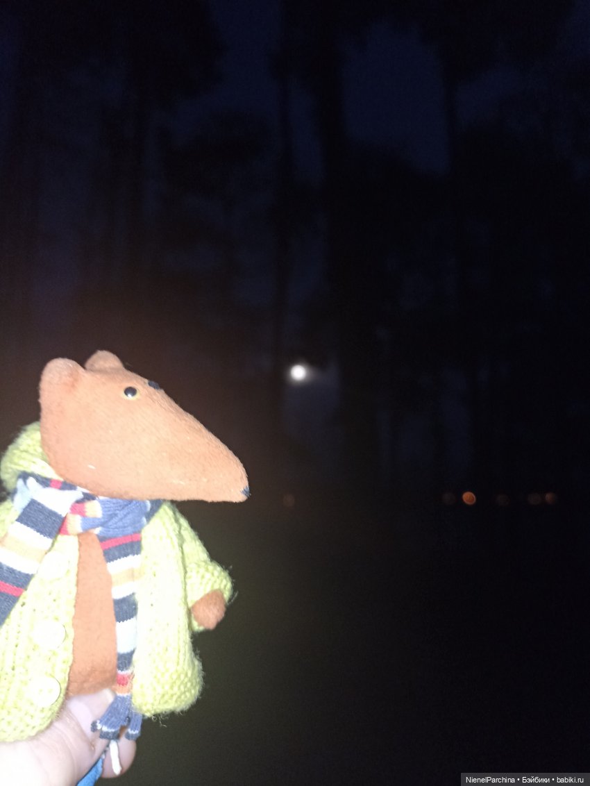 Как Йорген играл с луной — Домашние фото авторских игрушек: Тедди