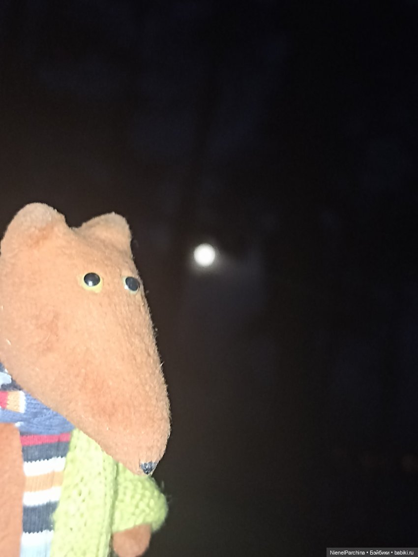 Как Йорген играл с луной — Домашние фото авторских игрушек: Тедди