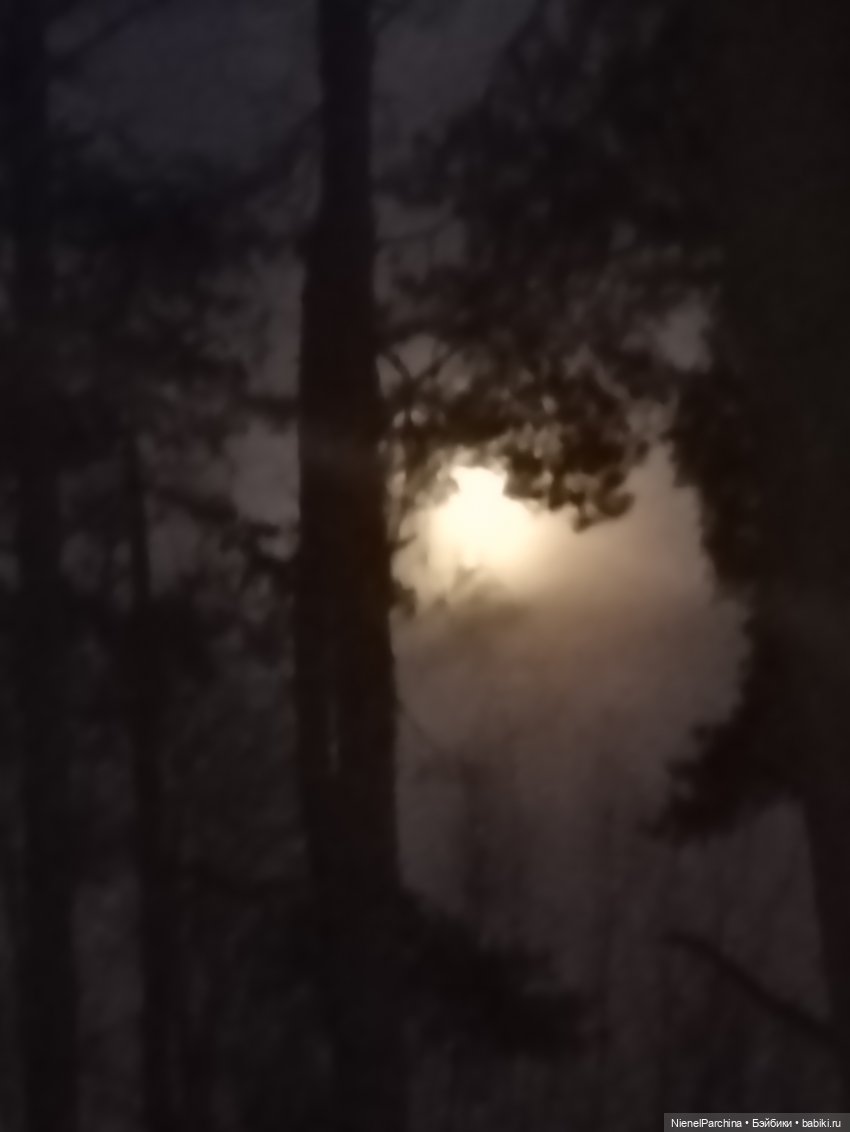 Как Йорген играл с луной — Домашние фото авторских игрушек: Тедди