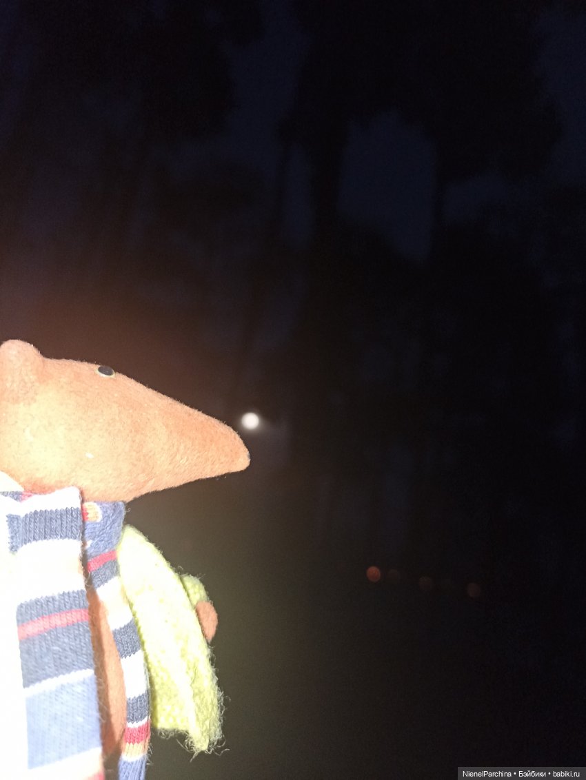 Как Йорген играл с луной — Домашние фото авторских игрушек: Тедди