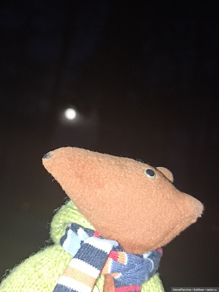 Как Йорген играл с луной — Домашние фото авторских игрушек: Тедди