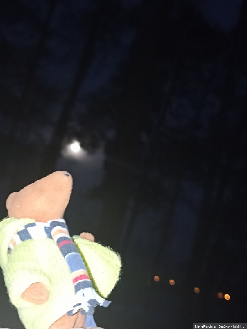 Как Йорген играл с луной — Домашние фото авторских игрушек: Тедди