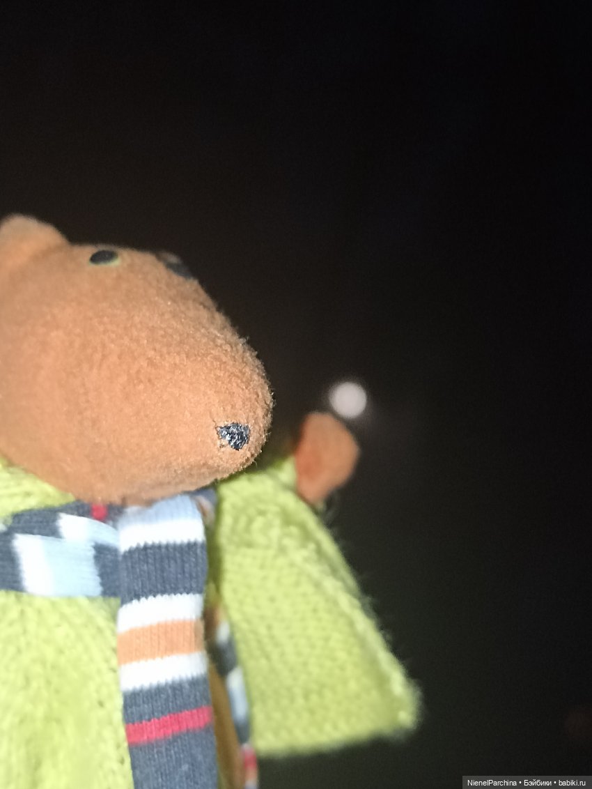 Как Йорген играл с луной — Домашние фото авторских игрушек: Тедди