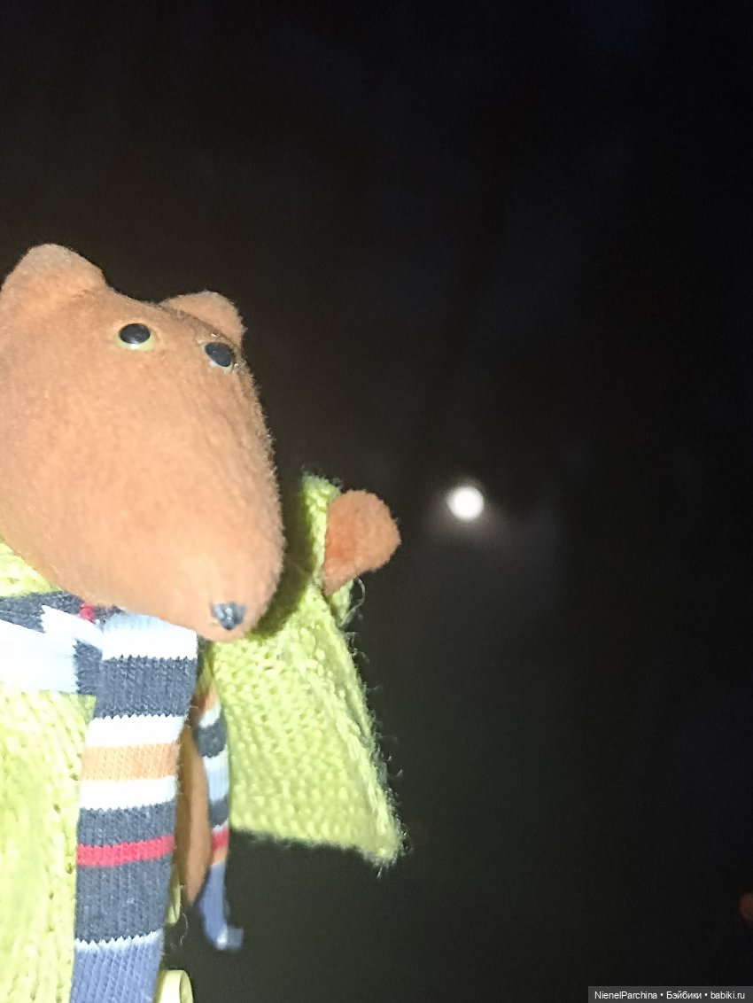 Как Йорген играл с луной — Домашние фото авторских игрушек: Тедди