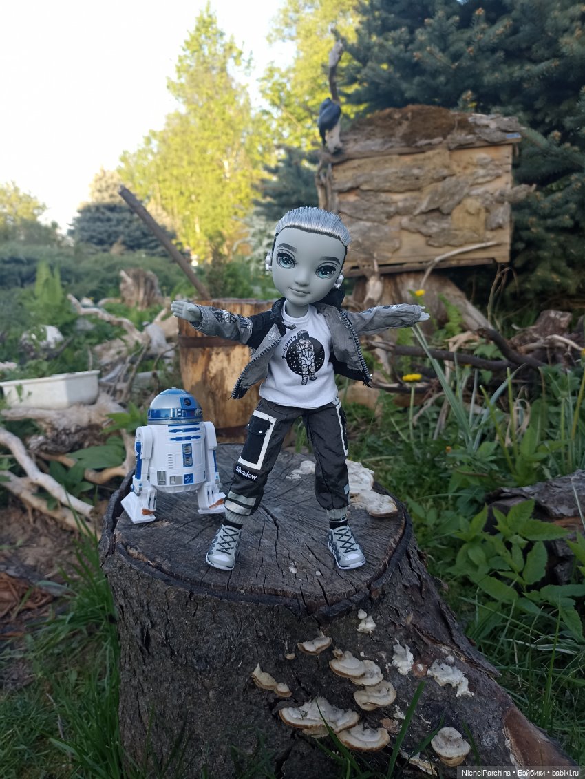 Эш на прогулке | Бэйбики Эш на прогулке — Куклы Rainbow High (Рейнбоу Хай