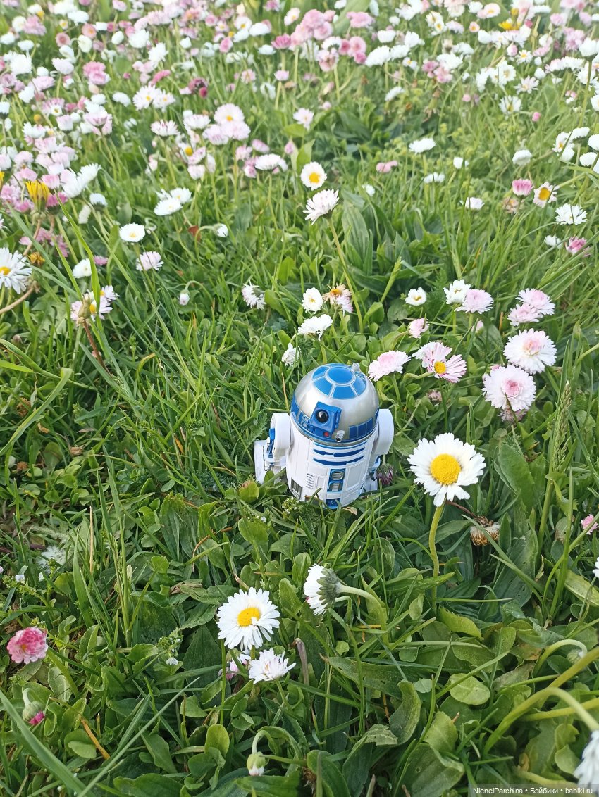 Эш на прогулке | Бэйбики Эш на прогулке — Куклы Rainbow High (Рейнбоу Хай