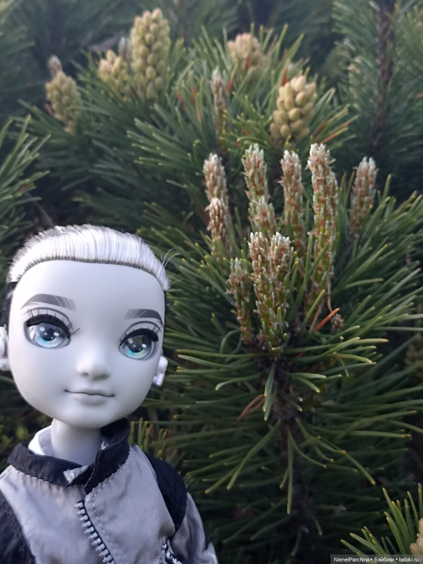 Эш на прогулке | Бэйбики Эш на прогулке — Куклы Rainbow High (Рейнбоу Хай