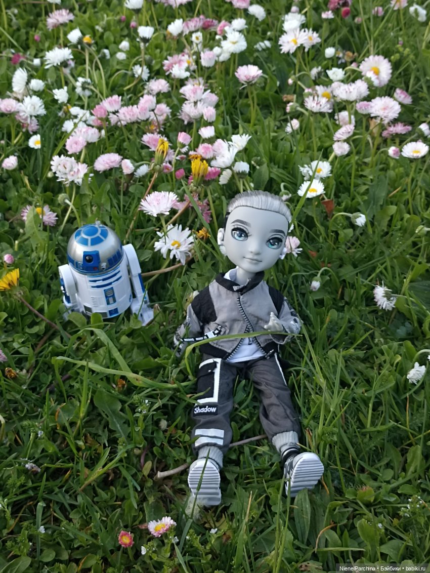 Эш на прогулке | Бэйбики Эш на прогулке — Куклы Rainbow High (Рейнбоу Хай