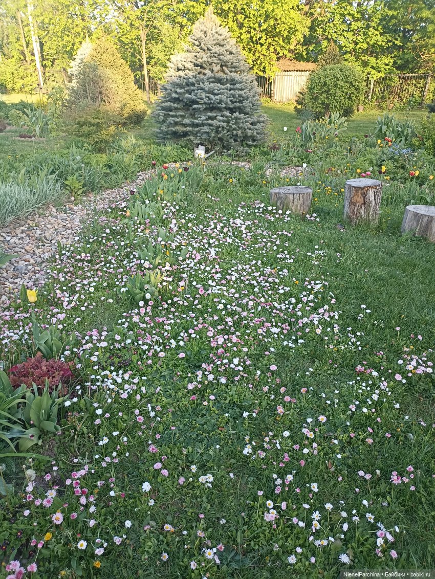 Эш на прогулке | Бэйбики Эш на прогулке — Куклы Rainbow High (Рейнбоу Хай