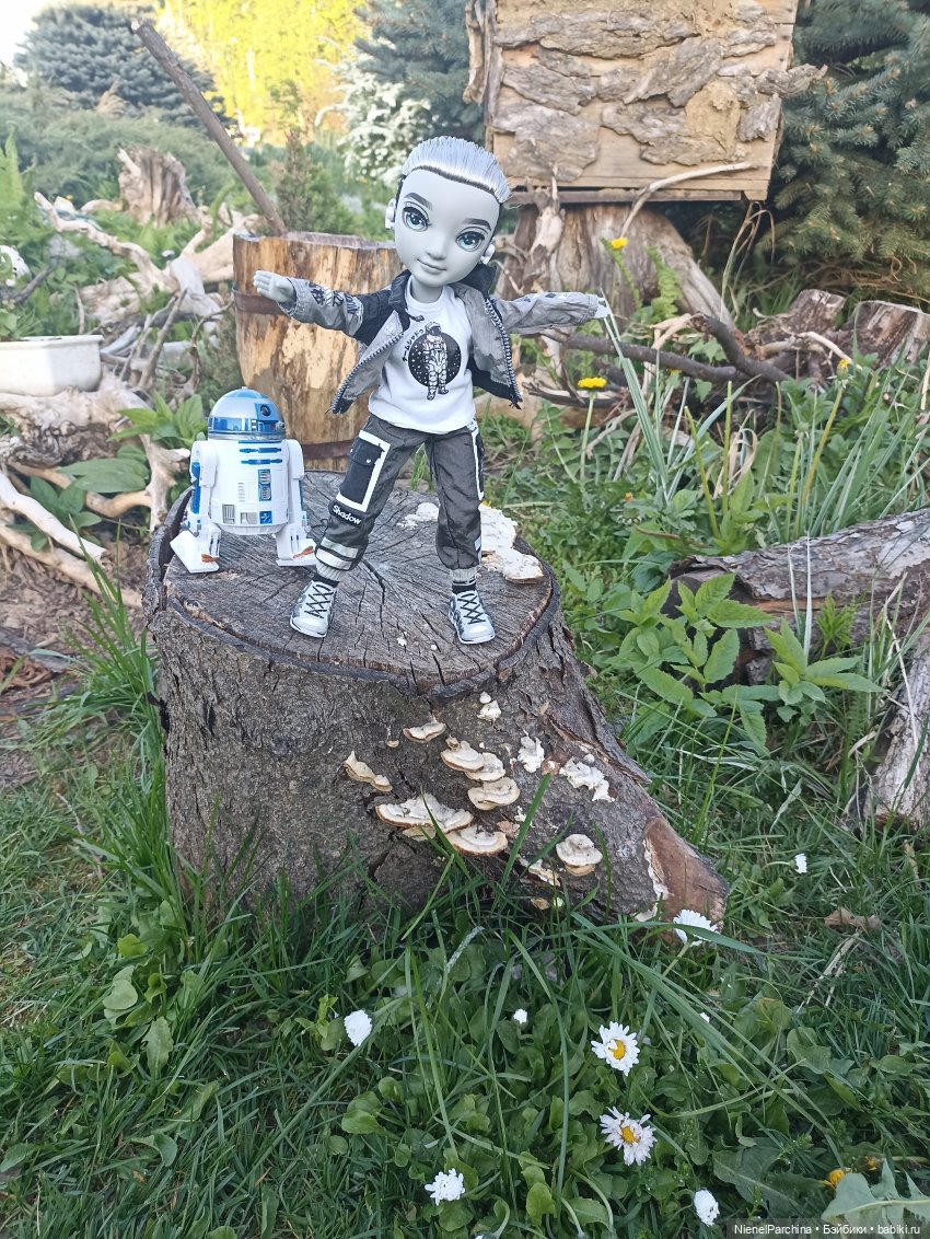 Эш на прогулке | Бэйбики Эш на прогулке — Куклы Rainbow High (Рейнбоу Хай