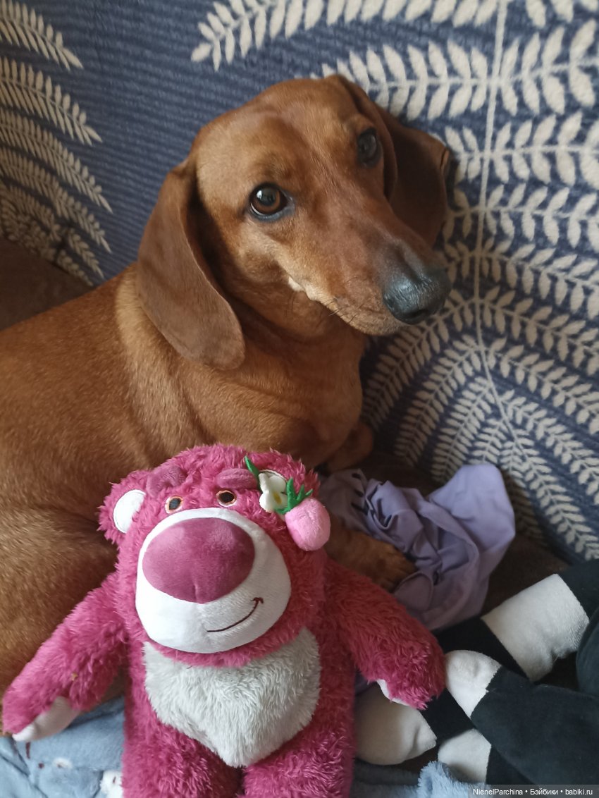 Потерянный Лотсо — Мягкие игровые и текстильные куклы: тряпичные