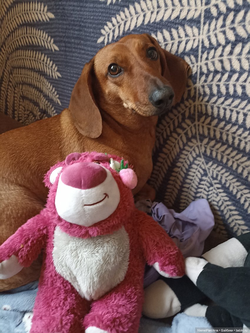 Потерянный Лотсо — Мягкие игровые и текстильные куклы: тряпичные