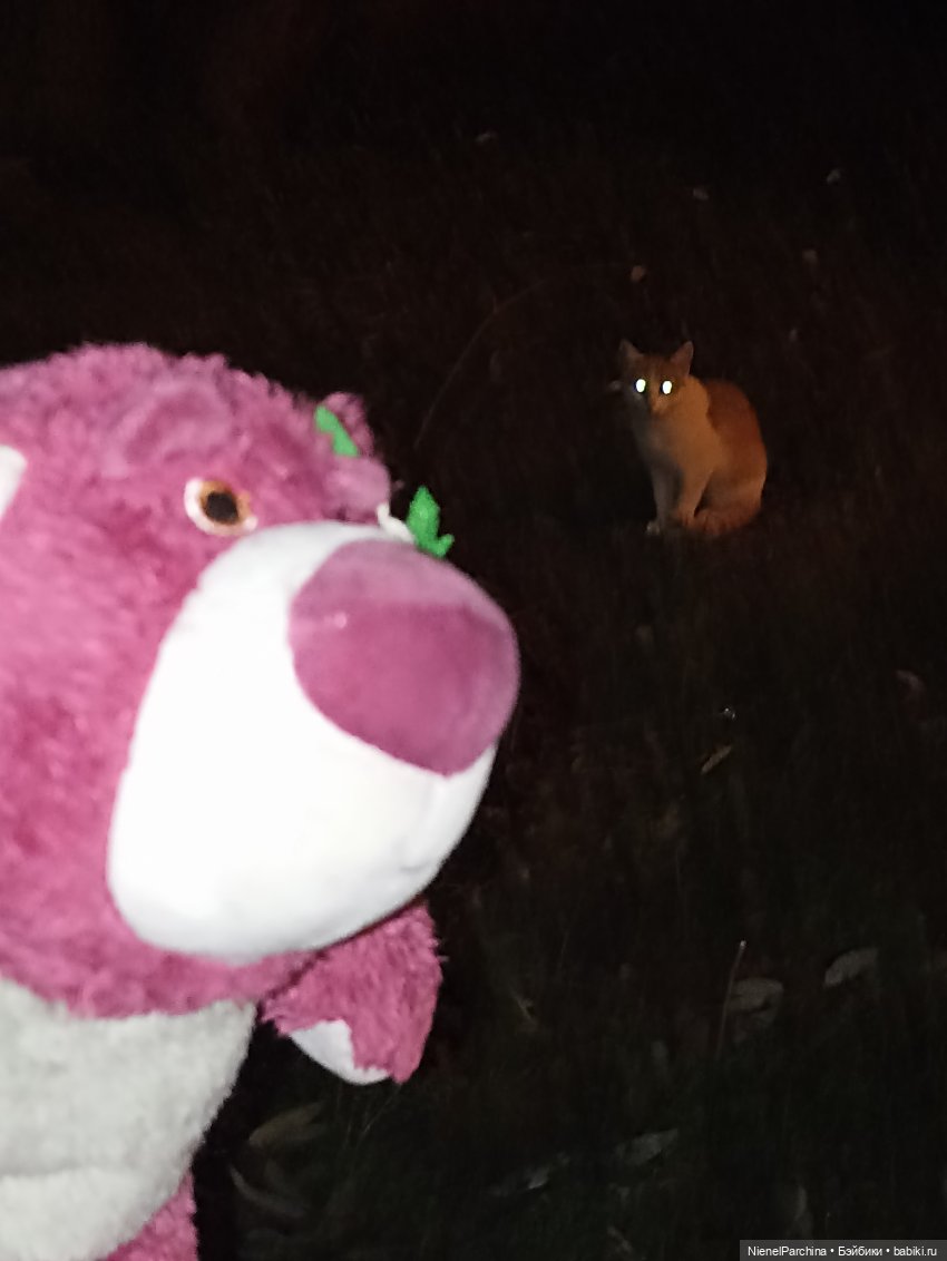 Потерянный Лотсо — Мягкие игровые и текстильные куклы: тряпичные