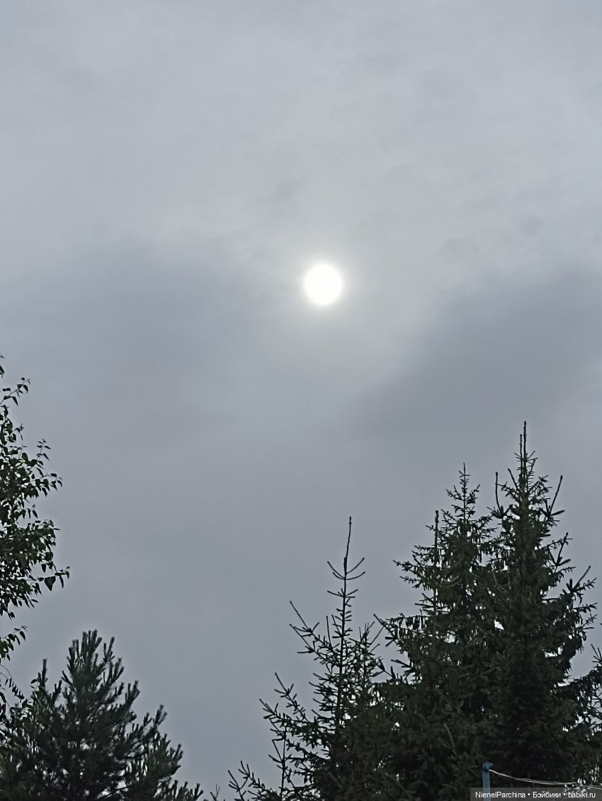 Дебютный клип Джихуна — Куклы и тела Obitsu (Обитсу): 1/6