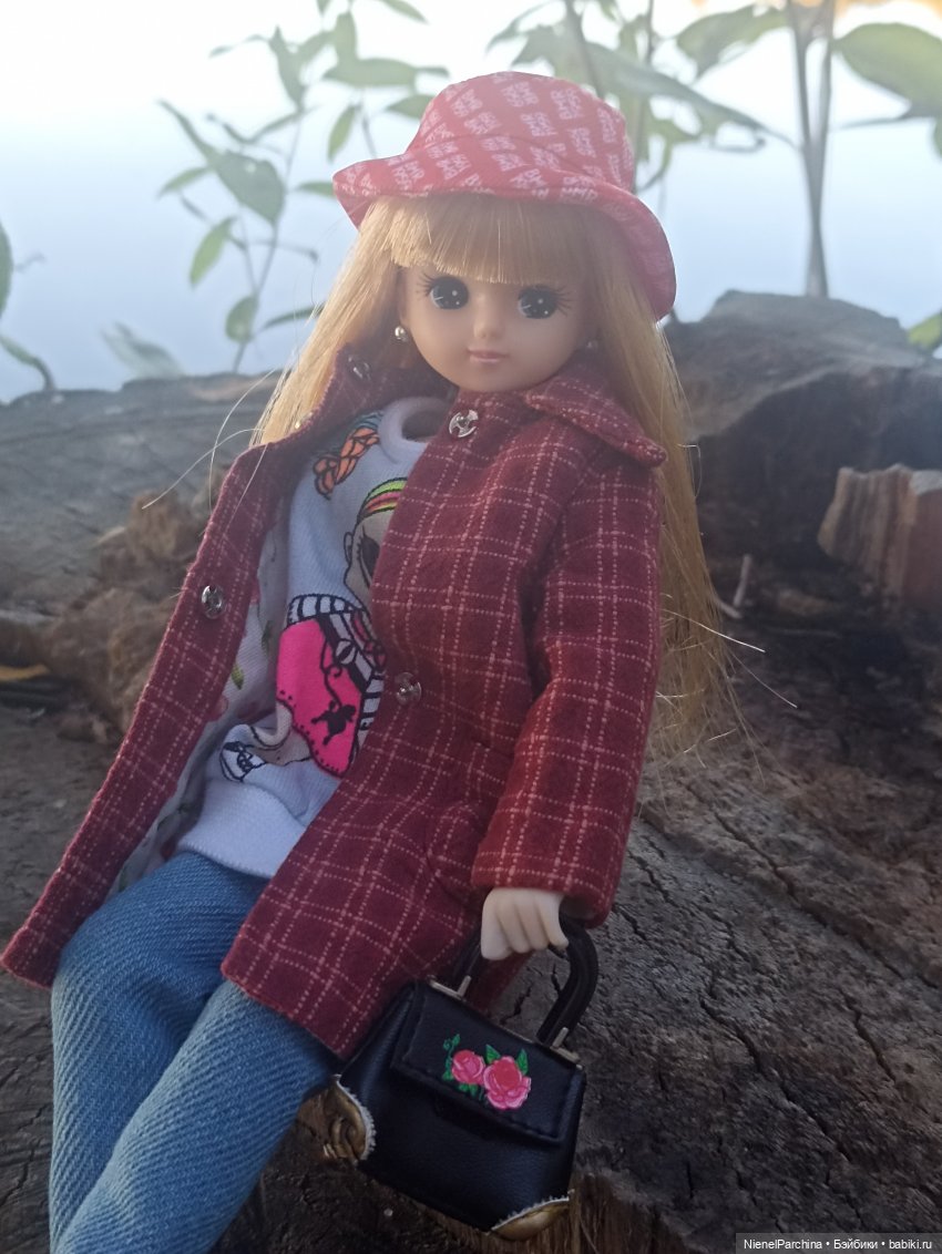 Осень с Аки — Куклы Takara Tomy (Такара): Licca (Ликка) (фото 5)