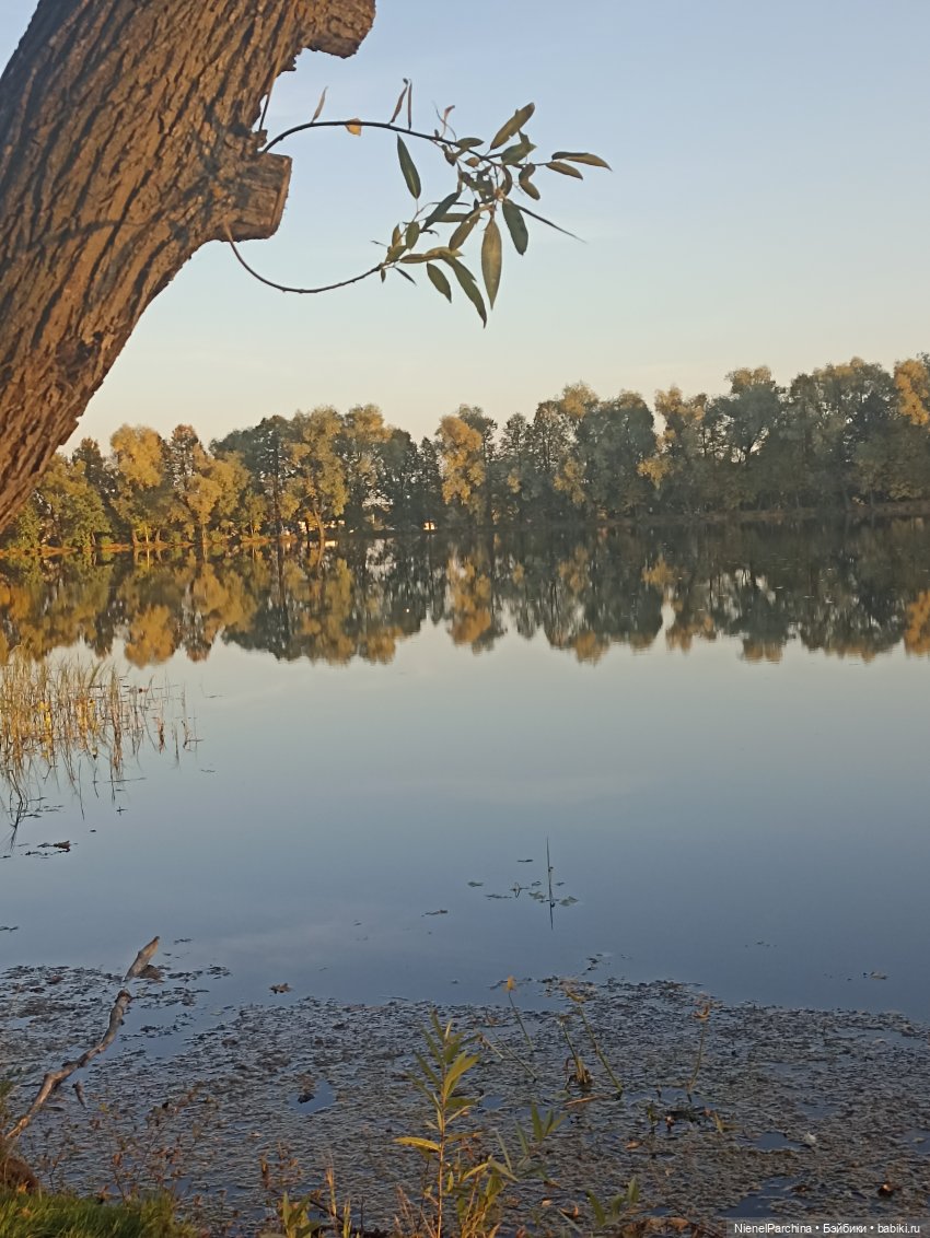 Осень с Аки — Куклы Takara Tomy (Такара): Licca (Ликка) (фото 7)