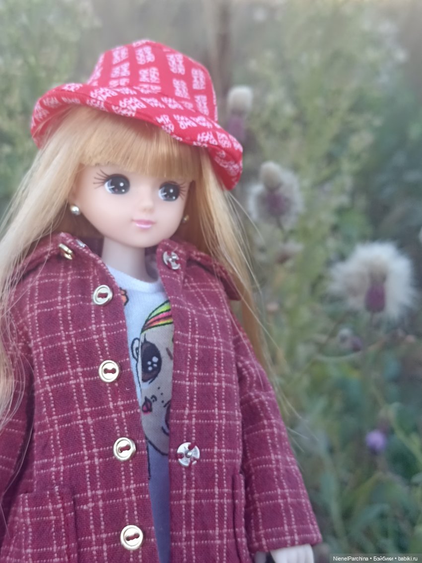 Осень с Аки — Куклы Takara Tomy (Такара): Licca (Ликка) (фото 8)