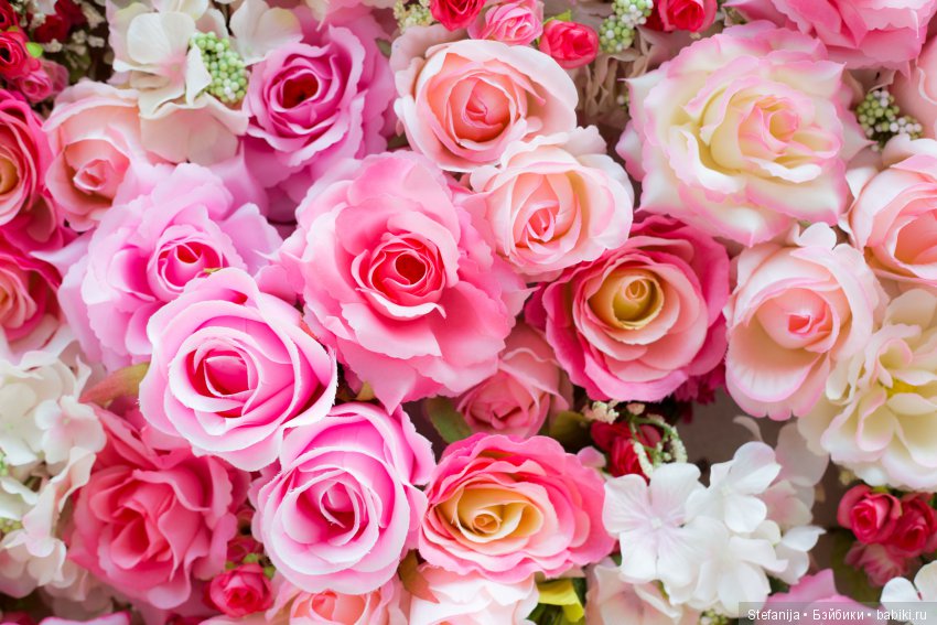 Мой первый годик на бейбиках