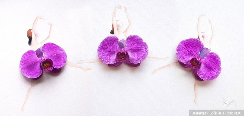 Рисунки из цветов и акварели от Лимзи