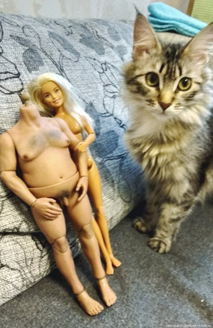 18+ Дождалась! World Box Model 1/6th. Небольшой обзорчик и масса впечатлений