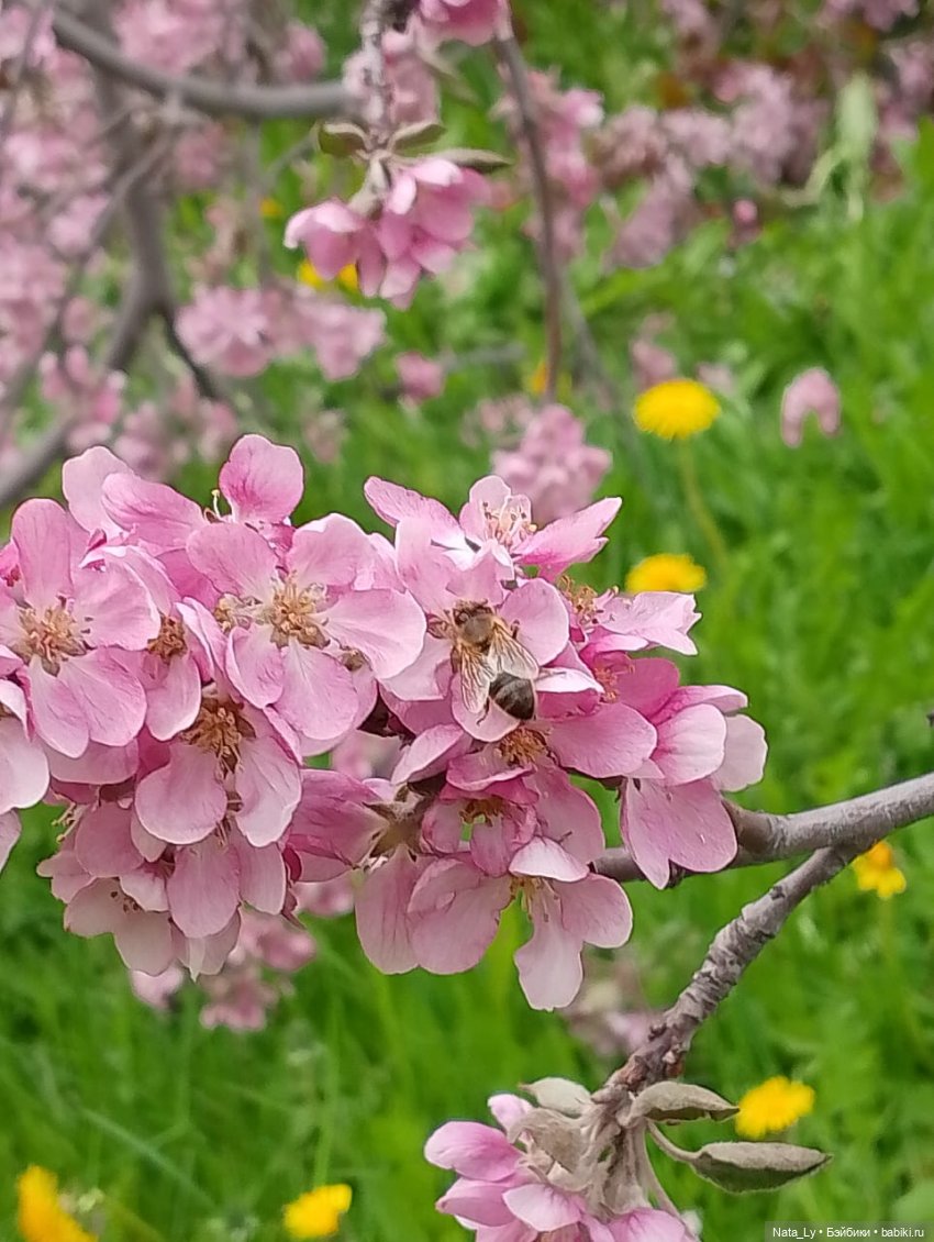 От чего так Серегино сердце стучит