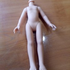тело для куклы Паола Рейна