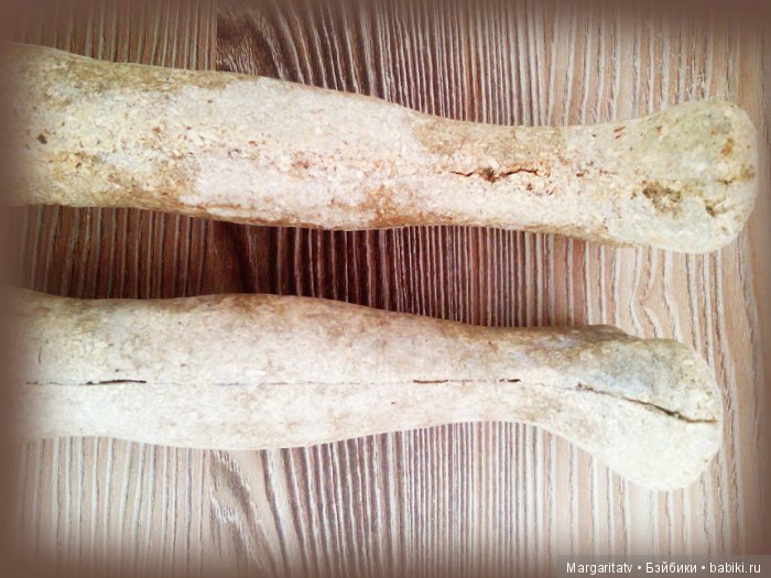 Спасение безноженьки. Часть 2. Хирургия и трансплантация