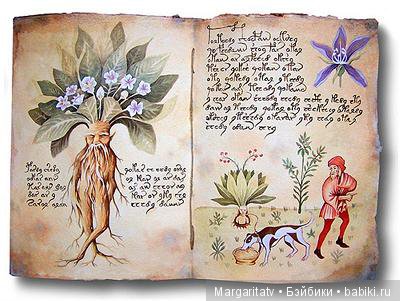 Кто такие мандрагоры — Домашние фото авторских игрушек: Тедди