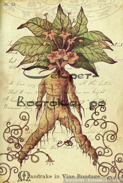 Кто такие мандрагоры — Домашние фото авторских игрушек: Тедди (фото 5)