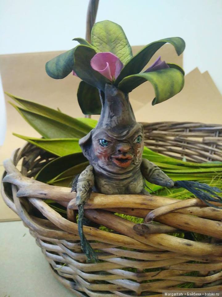 Кто такие мандрагоры — Домашние фото авторских игрушек: Тедди