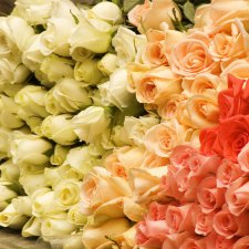 День Рождения бабушки!