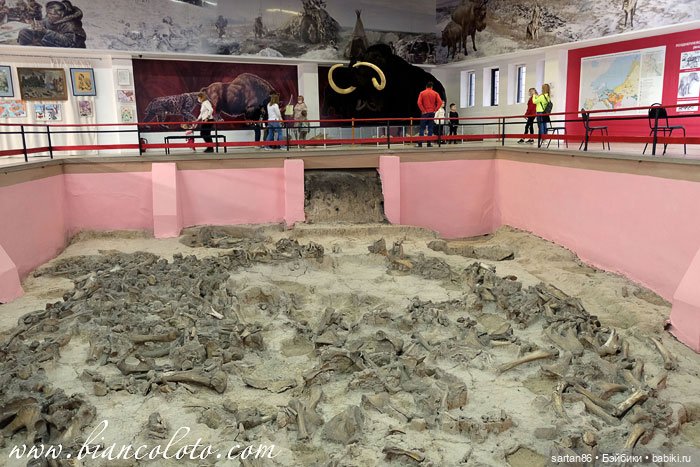 Весна на берегах Дона — Гибриды шарнирных кукол (не БЖД): подбор тела (фото 2)