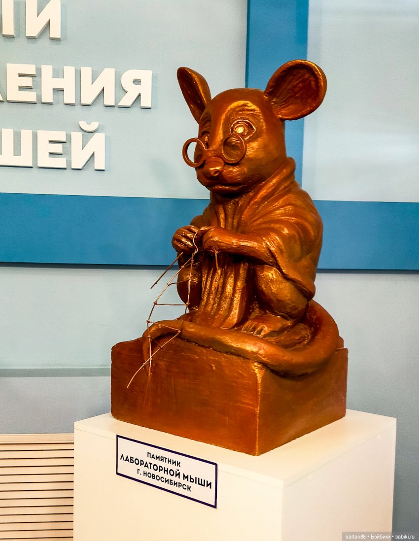 Речной круиз глазами куклы. Мышкин