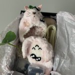 Продам комплект для Pop mart/Blyh/Middie blythe