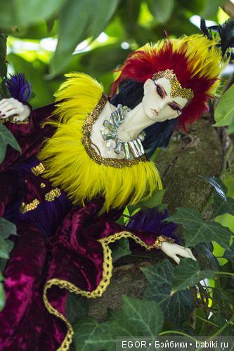 Птички — Куклы Phicen (TBLeague/Фицен): бесшовные тела