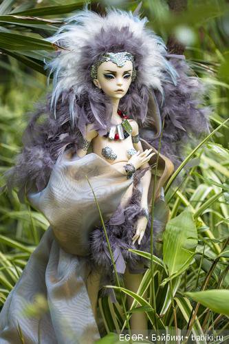 Птички — Куклы Phicen (TBLeague/Фицен): бесшовные тела (фото 2)