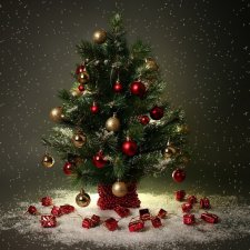 С наступающим или про ёлки